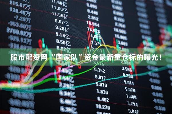 股市配资网 “国家队”资金最新重仓标的曝光！