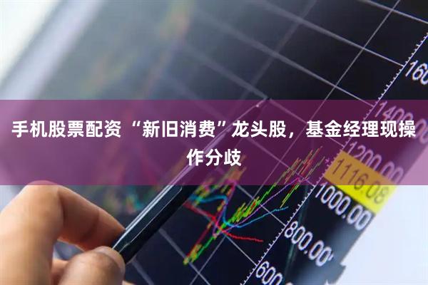 手机股票配资 “新旧消费”龙头股，基金经理现操作分歧